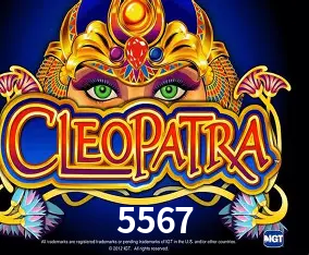 5567 Curitiba - Live Status